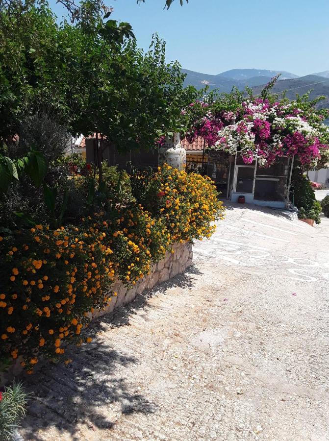 Apartamento Elenh House Argostoli  Exterior foto