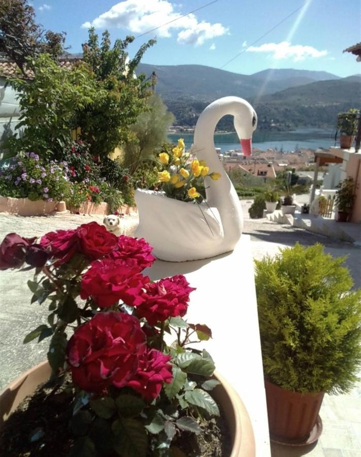 Apartamento Elenh House Argostoli  Exterior foto