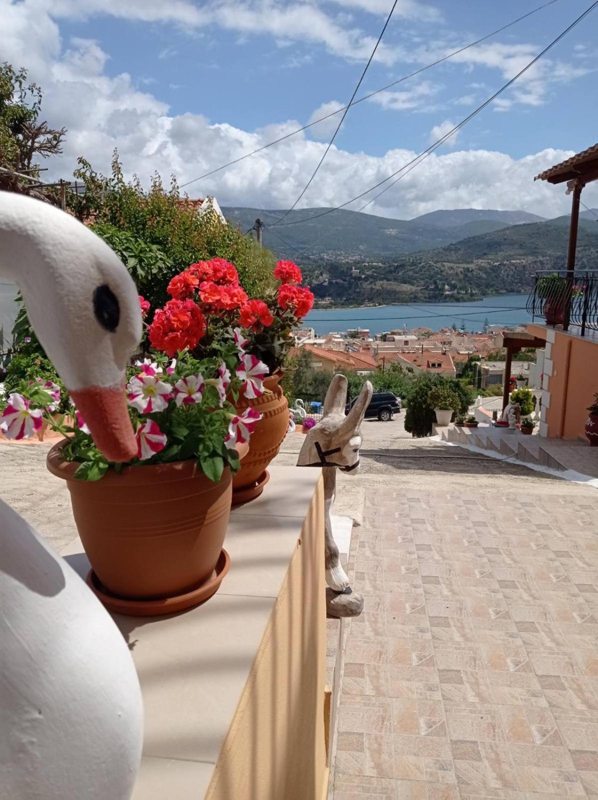 Apartamento Elenh House Argostoli  Exterior foto