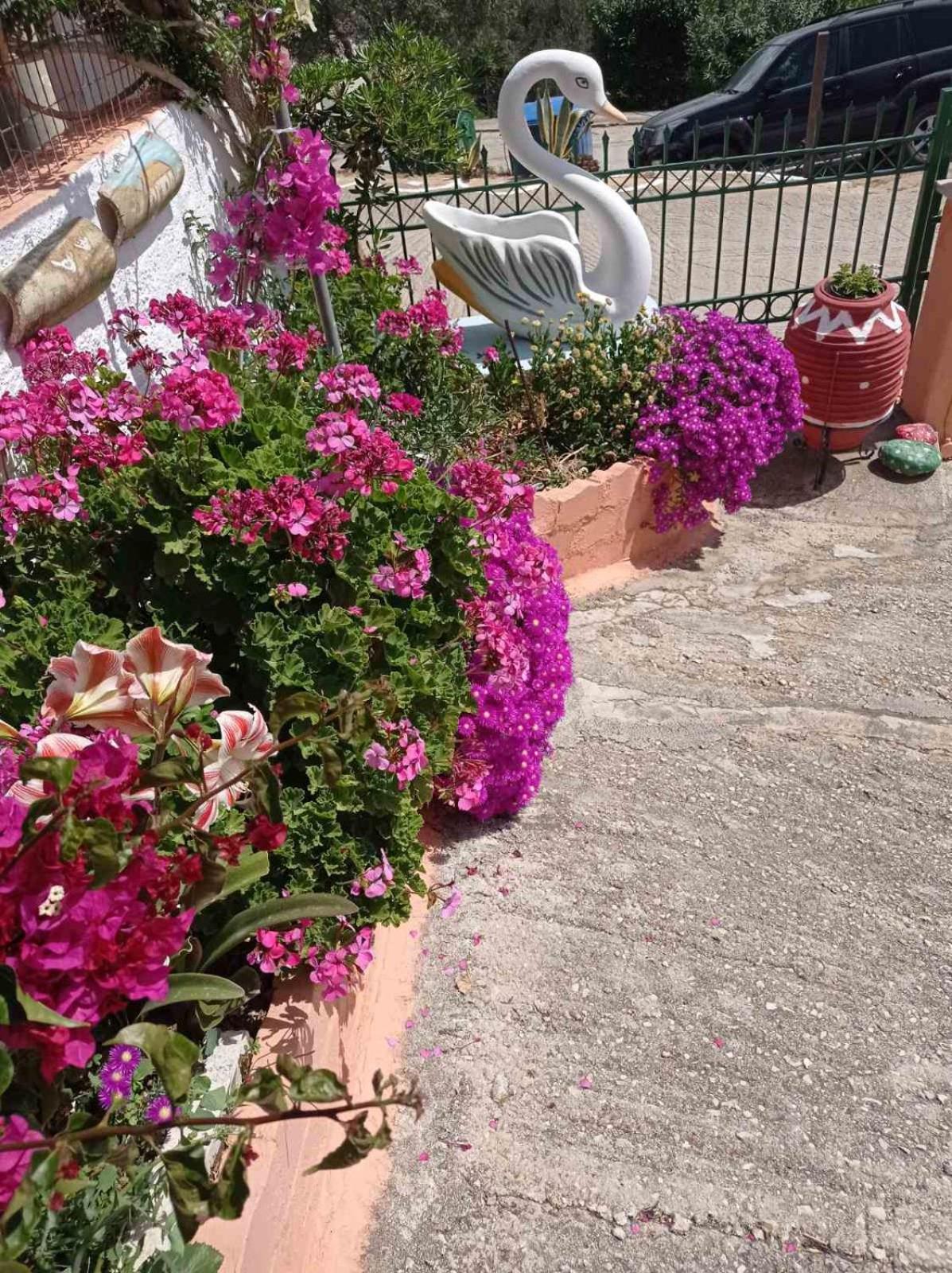 Apartamento Elenh House Argostoli  Exterior foto